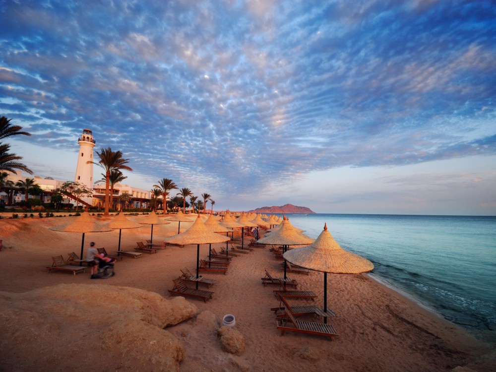 Dive Into Local Charm: Discovering the Real Sharm El-Sheikh