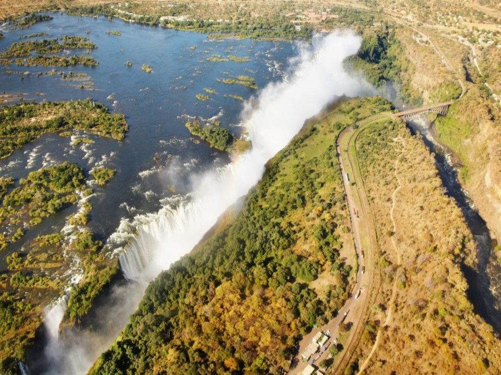 Exploring the Victoria Falls Rainforest: A Unique Ecosystem