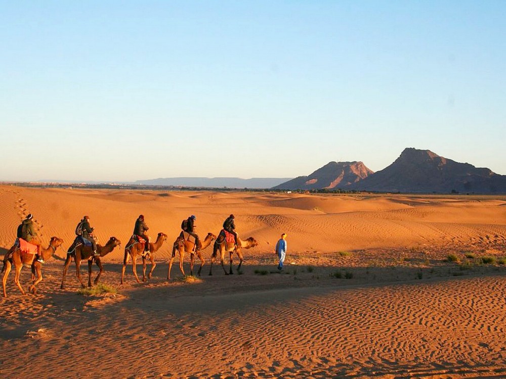 Into the Sands: The Best Desert Excursions from Ouarzazate