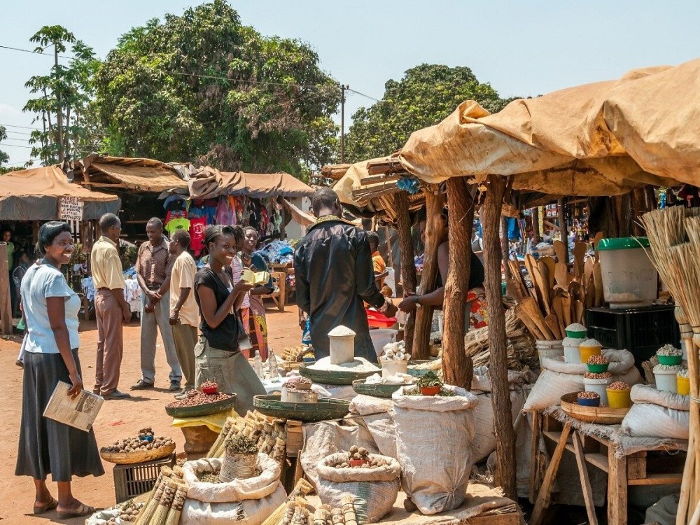 A Cultural Tour of Livingstone: Museums, Villages & Local Traditions