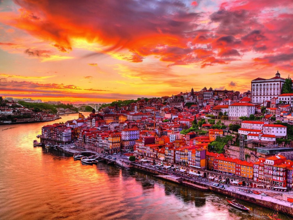 Beyond Porto: The Best Day Trips for an Unforgettable Escape