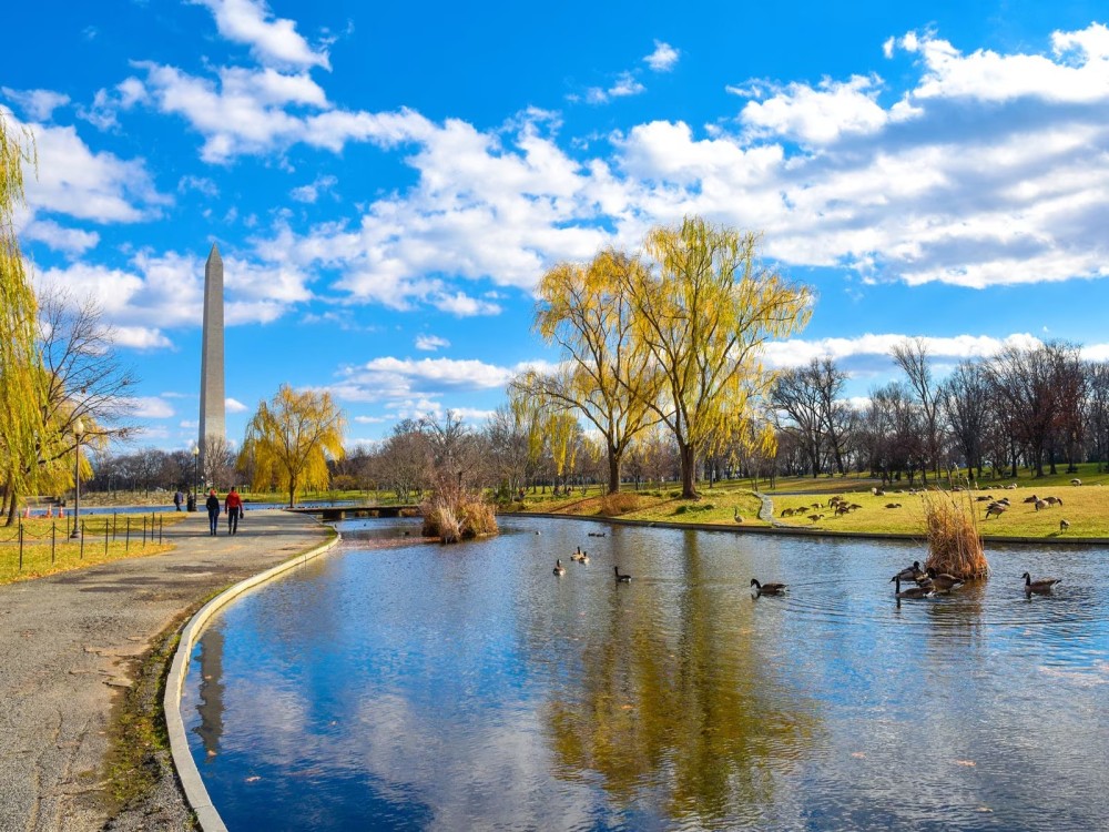Washington DC’s Best Parks and Outdoor Spaces: A Nature Lover’s Guide
