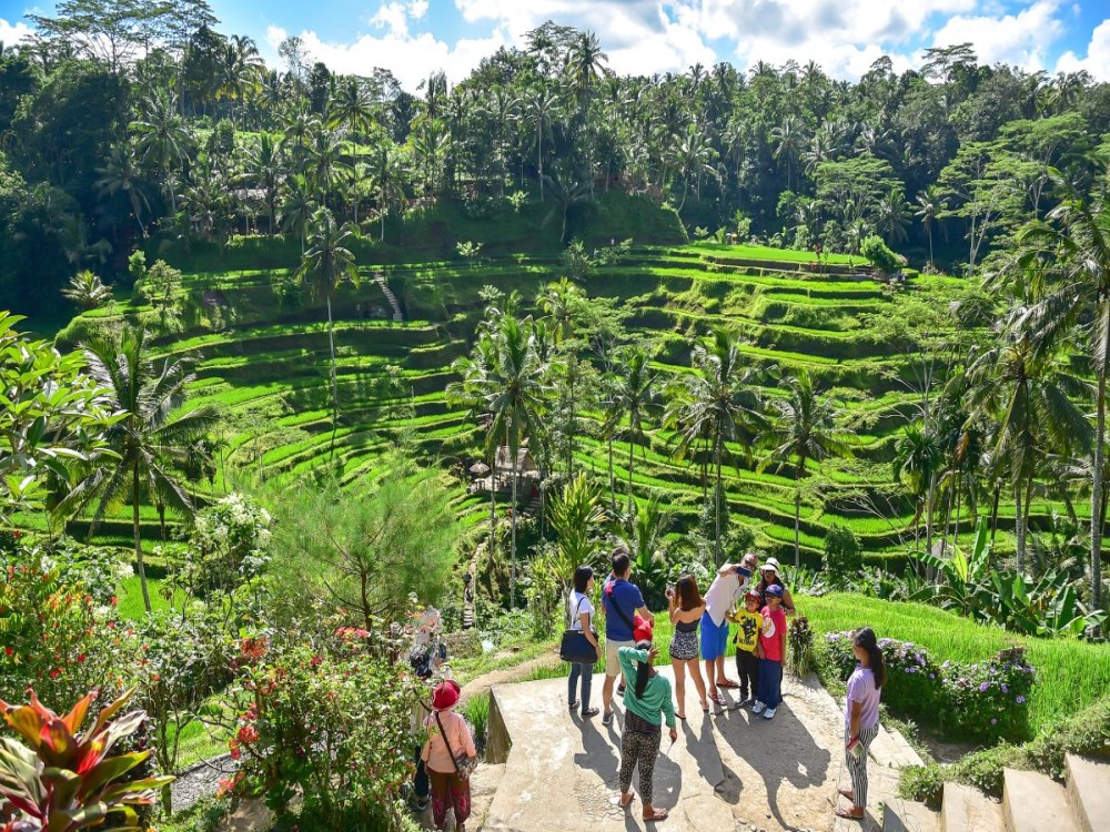 Top Must-Do Activities in Ubud for First-Timers