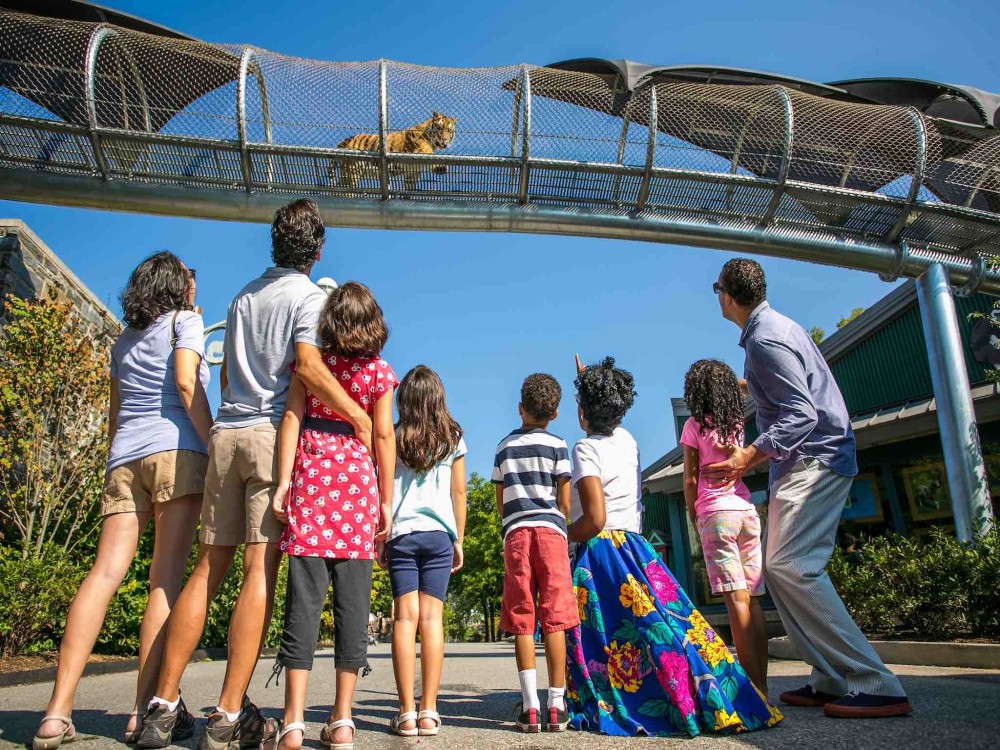 Family-Friendly Activities in Jeddah: Fun for All Ages