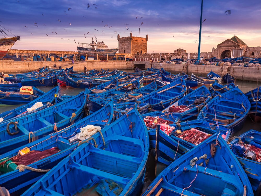 Top Things to Do in Essaouira: A Traveler’s Guide
