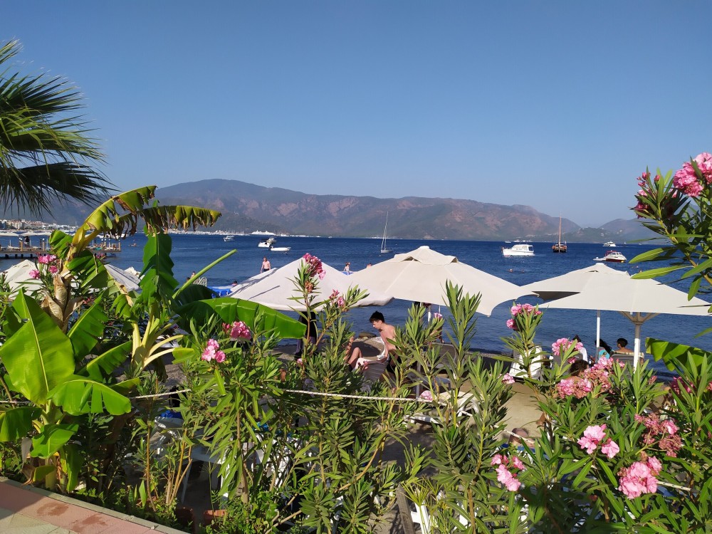  Flavors of Sarigerme: A Culinary Journey