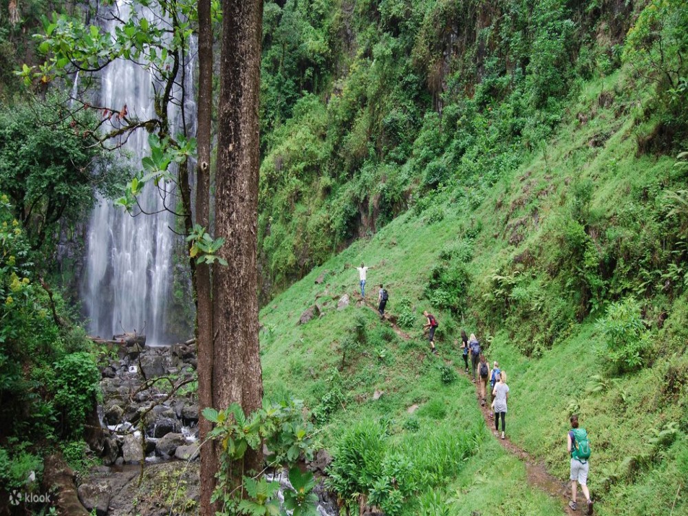Wildlife, Waterfalls, and Walking Trails: Outdoor Adventures in Arusha
