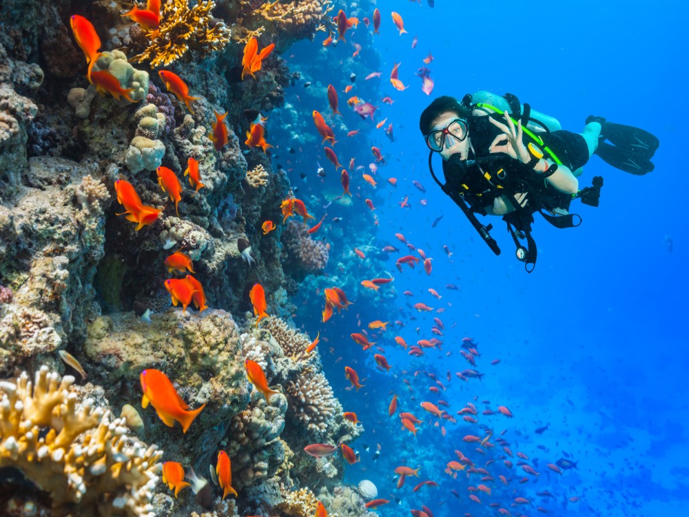 Exploring the Red Sea: Diving and Snorkeling in Sharm El-Sheikh