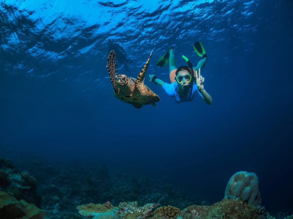 Adventures in Zanzibar