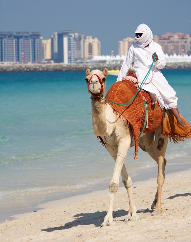 The UAE offers luxury, rich traditions, and stunning landscapes for an unforgettable trip. 