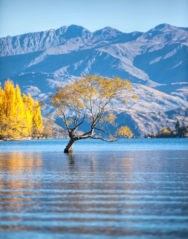 New Zealand: A land of stunning landscapes, thrilling adventures, and rich Maori culture. 