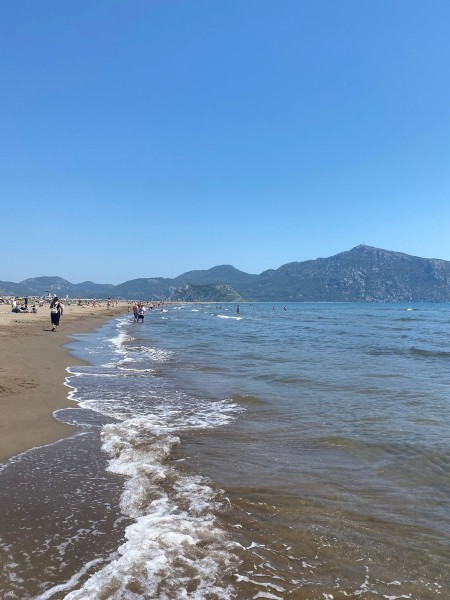 Marmaris: Marmaris: Dalyan Turtle Beach Tour with Mud Bath & Lunch | ®ExcursionMania