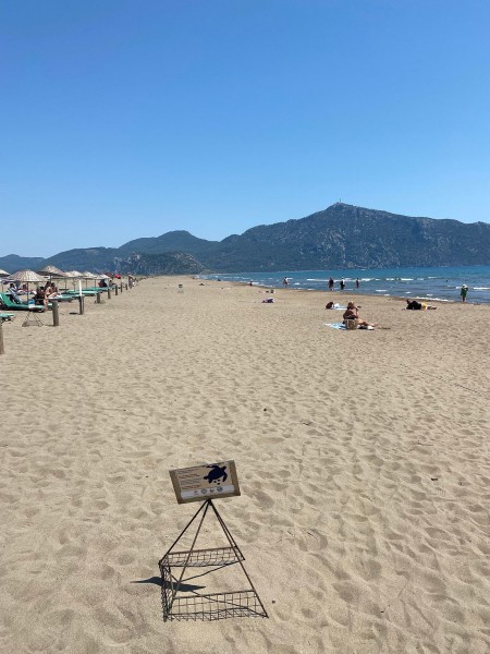Marmaris: Marmaris: Dalyan Turtle Beach Tour with Mud Bath & Lunch | ®ExcursionMania