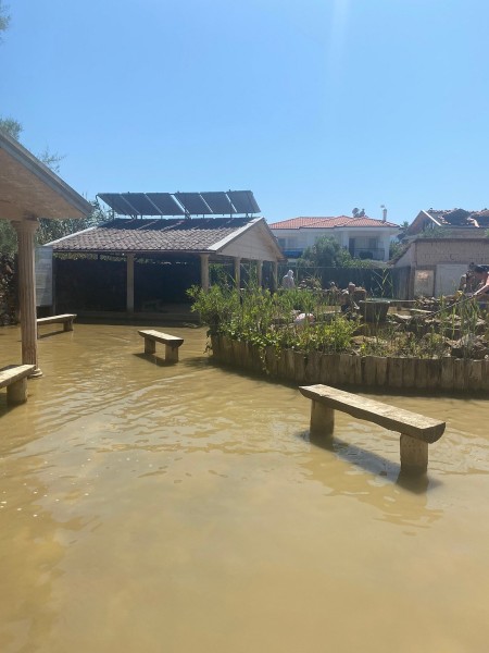 Marmaris: Marmaris: Dalyan Turtle Beach Tour with Mud Bath & Lunch | ®ExcursionMania