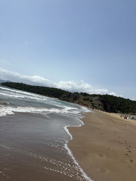 Marmaris: Dalyan Turtle Beach Tour with Mud Bath & Lunch | ®ExcursionMania