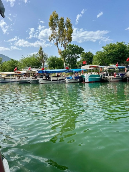 Marmaris: Dalyan Turtle Beach Tour with Mud Bath & Lunch | ®ExcursionMania