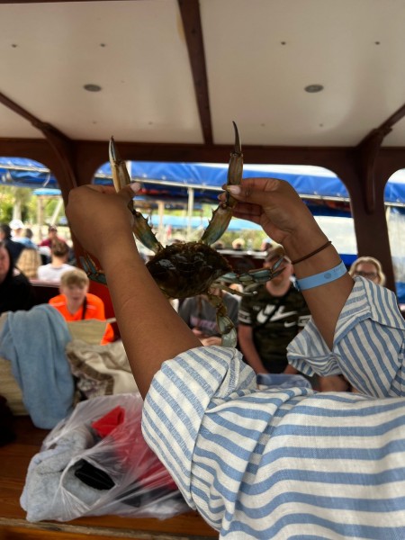 Marmaris: Dalyan Turtle Beach Tour with Mud Bath & Lunch | ®ExcursionMania
