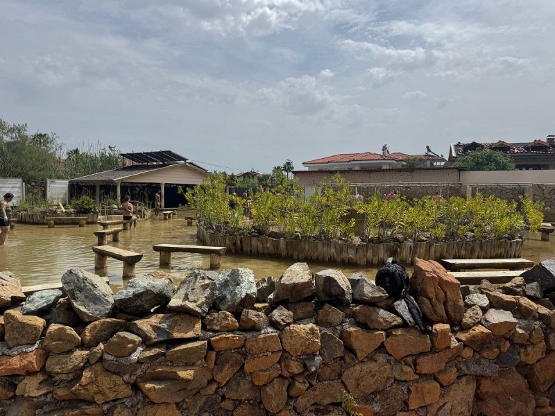 Marmaris: Dalyan Turtle Beach Tour with Mud Bath & Lunch | ®ExcursionMania