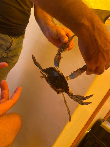 Marmaris: Dalyan Turtle Beach Tour with Mud Bath & Lunch | ®ExcursionMania