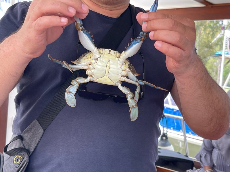Marmaris: Dalyan Turtle Beach Tour with Mud Bath & Lunch | ®ExcursionMania
