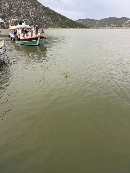 Marmaris: Dalyan Turtle Beach Tour with Mud Bath & Lunch | ®ExcursionMania