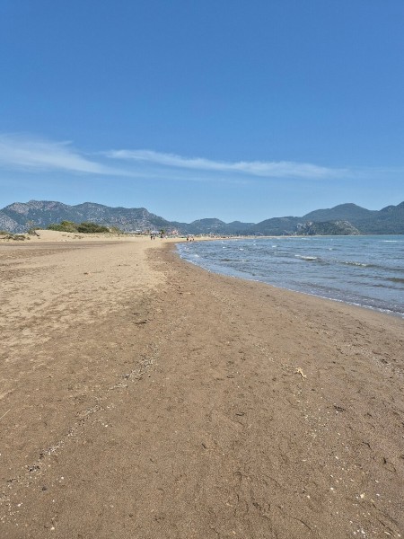 Marmaris: Dalyan Turtle Beach Tour with Mud Bath & Lunch | ®ExcursionMania
