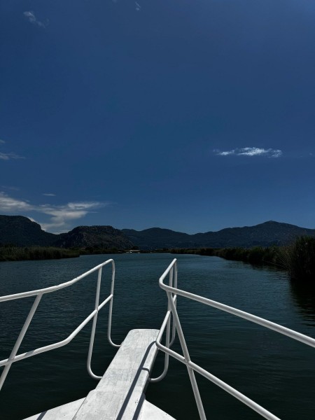 Marmaris: Dalyan Turtle Beach Tour with Mud Bath & Lunch | ®ExcursionMania