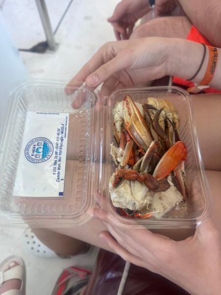 Marmaris: Dalyan Turtle Beach Tour with Mud Bath & Lunch | ®ExcursionMania