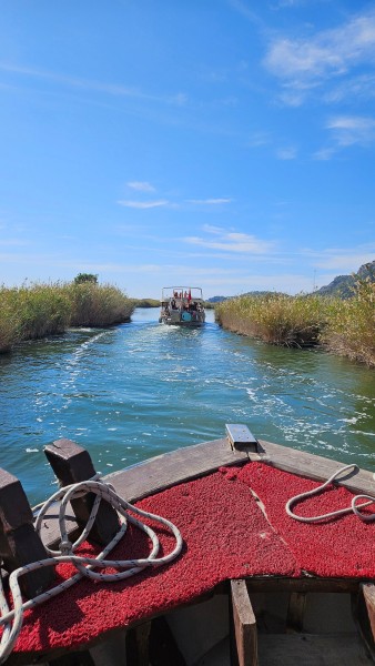 Marmaris: Dalyan Turtle Beach Tour with Mud Bath & Lunch | ®ExcursionMania