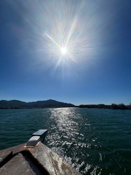 Marmaris: Dalyan Turtle Beach Tour with Mud Bath & Lunch | ®ExcursionMania