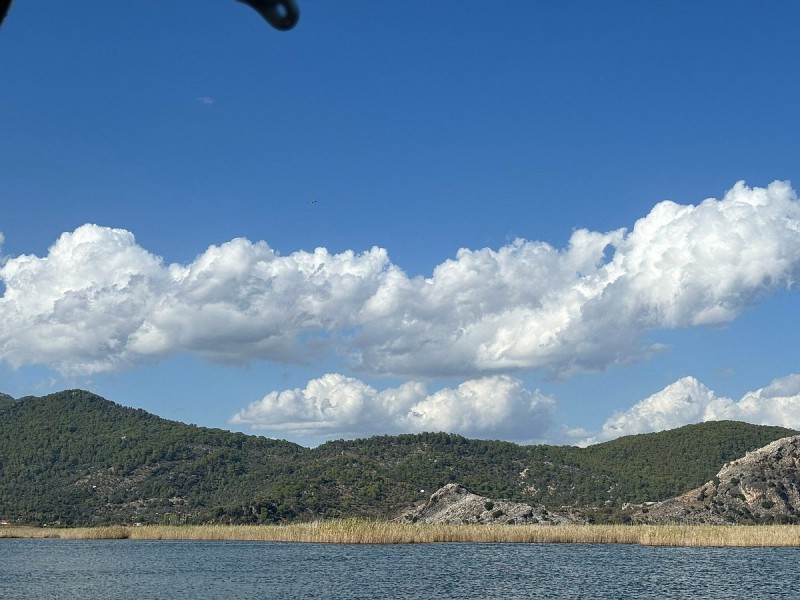 Marmaris: Dalyan Turtle Beach Tour with Mud Bath & Lunch | ®ExcursionMania