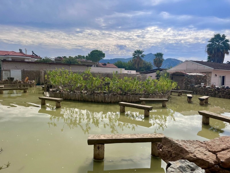 Marmaris: Dalyan Turtle Beach Tour with Mud Bath & Lunch | ®ExcursionMania