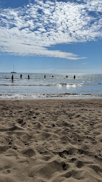 Marmaris: Dalyan Turtle Beach Tour with Mud Bath & Lunch | ®ExcursionMania