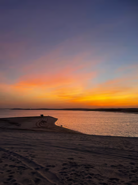 Doha: Doha: Desert Safari w/ Quad Bike Sandboarding  Camel Ride | ®ExcursionMania