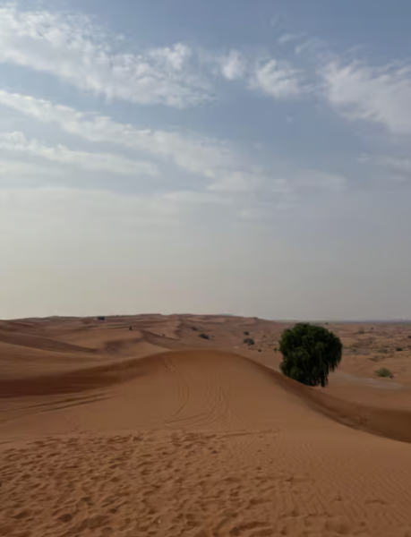 Dubai: Quad Bike Safari, Camels & Al Khayma Camp BBQ Dinner | ®ExcursionMania
