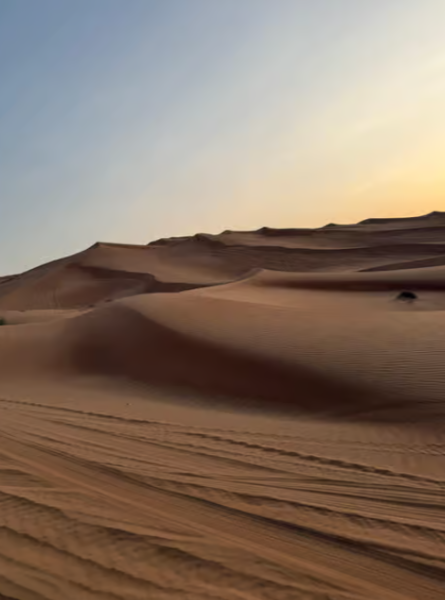 Dubai: Quad Bike Safari, Camels & Al Khayma Camp BBQ Dinner | ®ExcursionMania