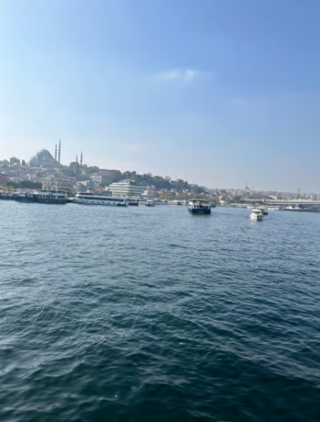 Istanbul: Bosphorus & Golden Horn Cruise Daytime or Sunset | ®ExcursionMania
