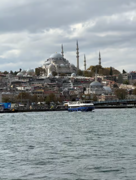 Istanbul: Bosphorus & Golden Horn Cruise Daytime or Sunset | ®ExcursionMania