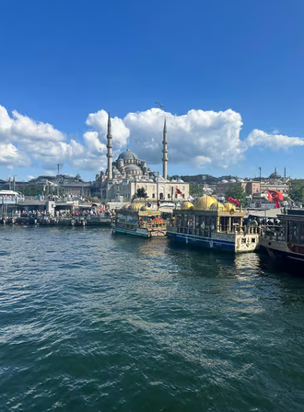 Istanbul: Istanbul: Bosphorus Sightseeing Cruise with Sunset Option | ®ExcursionMania