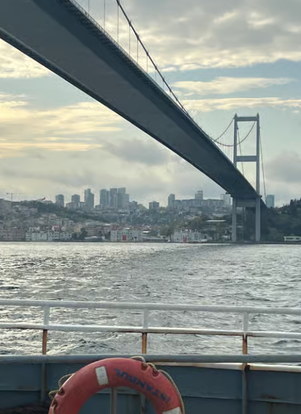 Istanbul: Bosphorus Sightseeing Cruise with Sunset Option | ®ExcursionMania