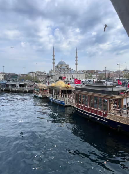 Istanbul: Bosphorus Sightseeing Cruise with Sunset Option | ®ExcursionMania