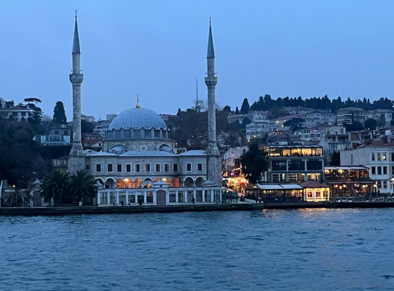 Istanbul: Bosphorus Sightseeing Cruise with Sunset Option | ®ExcursionMania