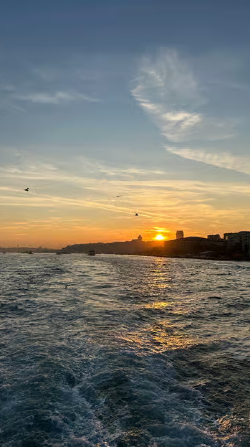 Istanbul: Bosphorus Sightseeing Cruise with Sunset Option | ®ExcursionMania