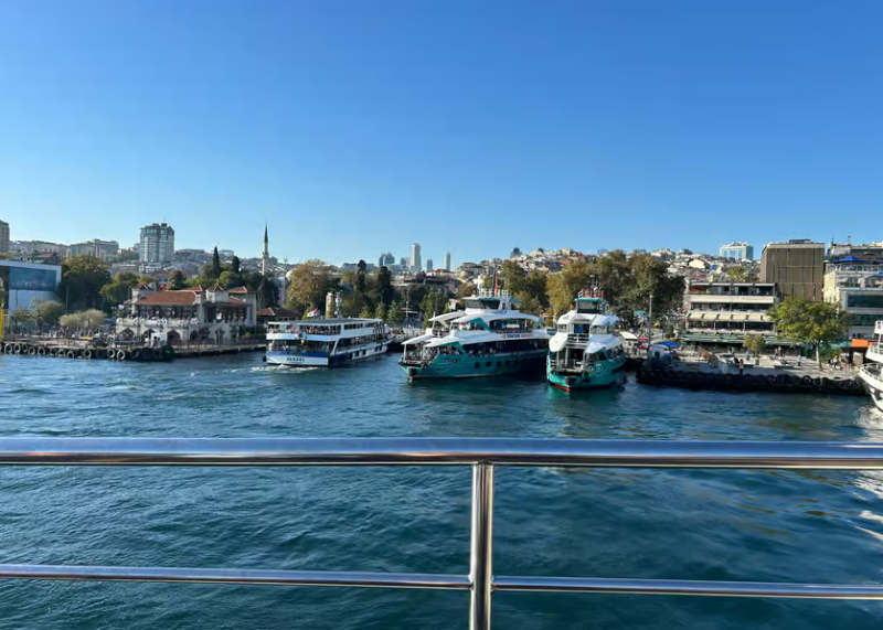 Istanbul: Bosphorus Sightseeing Cruise with Sunset Option | ®ExcursionMania