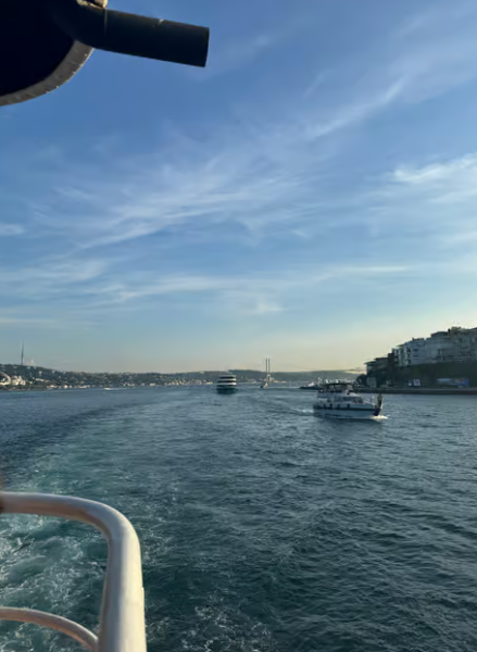 Istanbul: Bosphorus Sightseeing Cruise with Sunset Option | ®ExcursionMania