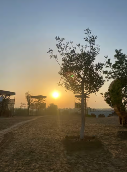 Dubai: Overnight Safari, Dinner, Stargazing & Al Khayma Camp | ®ExcursionMania