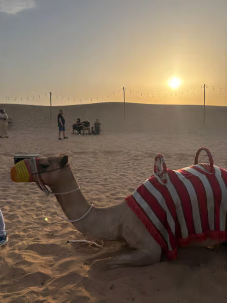 Dubai: Desert Safari, Quad Bike, Sandboarding, Camels & BBQ | ®ExcursionMania