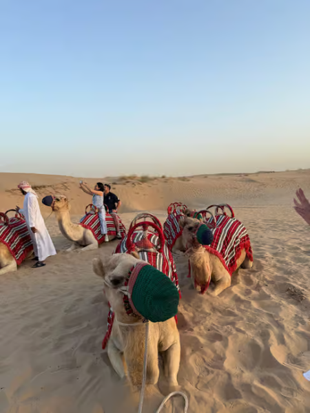Dubai: Desert Safari, Quad Bike, Sandboarding, Camels & BBQ | ®ExcursionMania