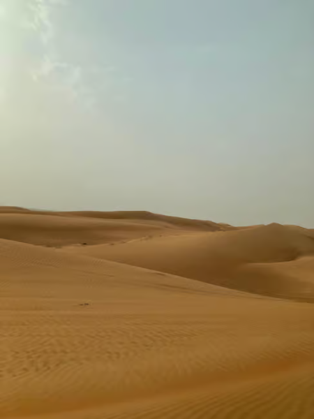 Dubai: Desert Safari, Quad Bike, Sandboarding, Camels & BBQ | ®ExcursionMania