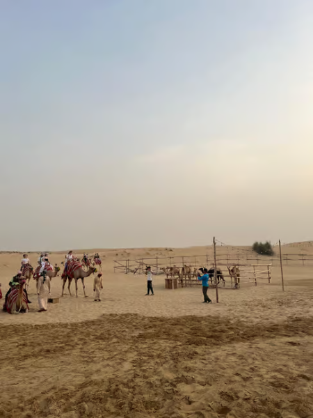 Dubai: Desert Safari, Quad Bike, Sandboarding, Camels & BBQ | ®ExcursionMania